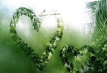 三亿体育体育网站入口-巴黎圣日耳曼挑战多特蒙德，双方实力对决的简单介绍