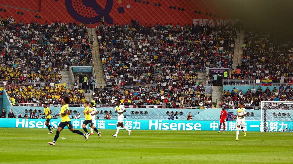 塞内加尔奋斗获胜，国际赛实力有目共睹的简单介绍